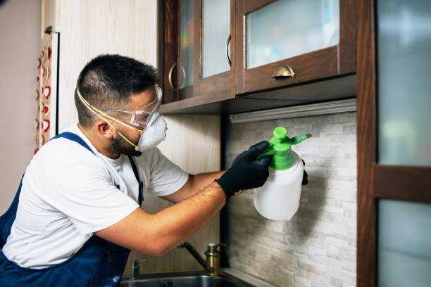 Best Exterminator Services  in Zebulon, NC