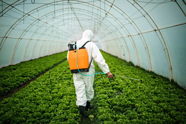 Best Local Pest Control Services  in Zebulon, NC