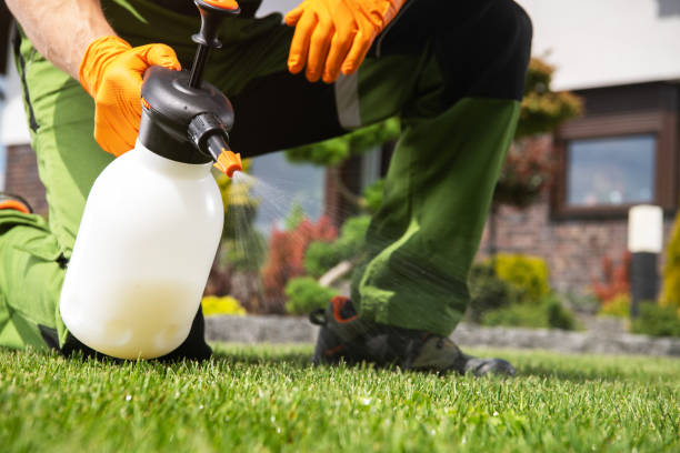 Trusted Zebulon, NC Pest Control Experts