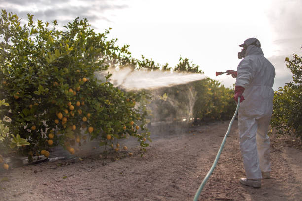 Best Residential Pest Control  in Zebulon, NC