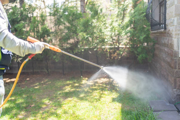 Bird Control in Zebulon, NC
