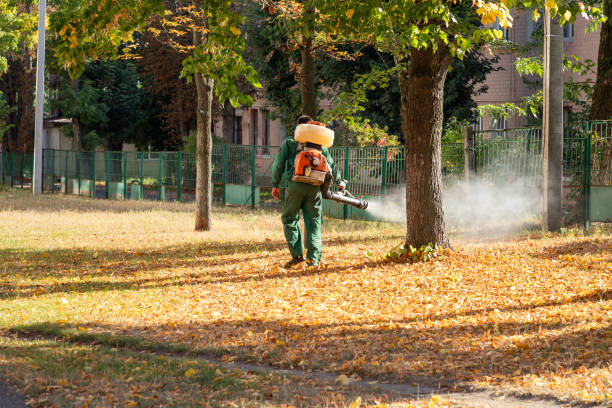 Best Commercial Pest Control Services  in Zebulon, NC
