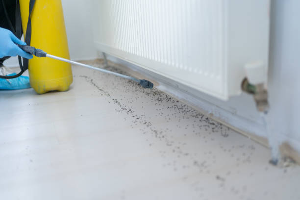 Best Pest Control for Restaurants  in Zebulon, NC