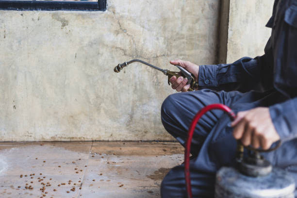 Best Affordable Pest Control Services  in Zebulon, NC